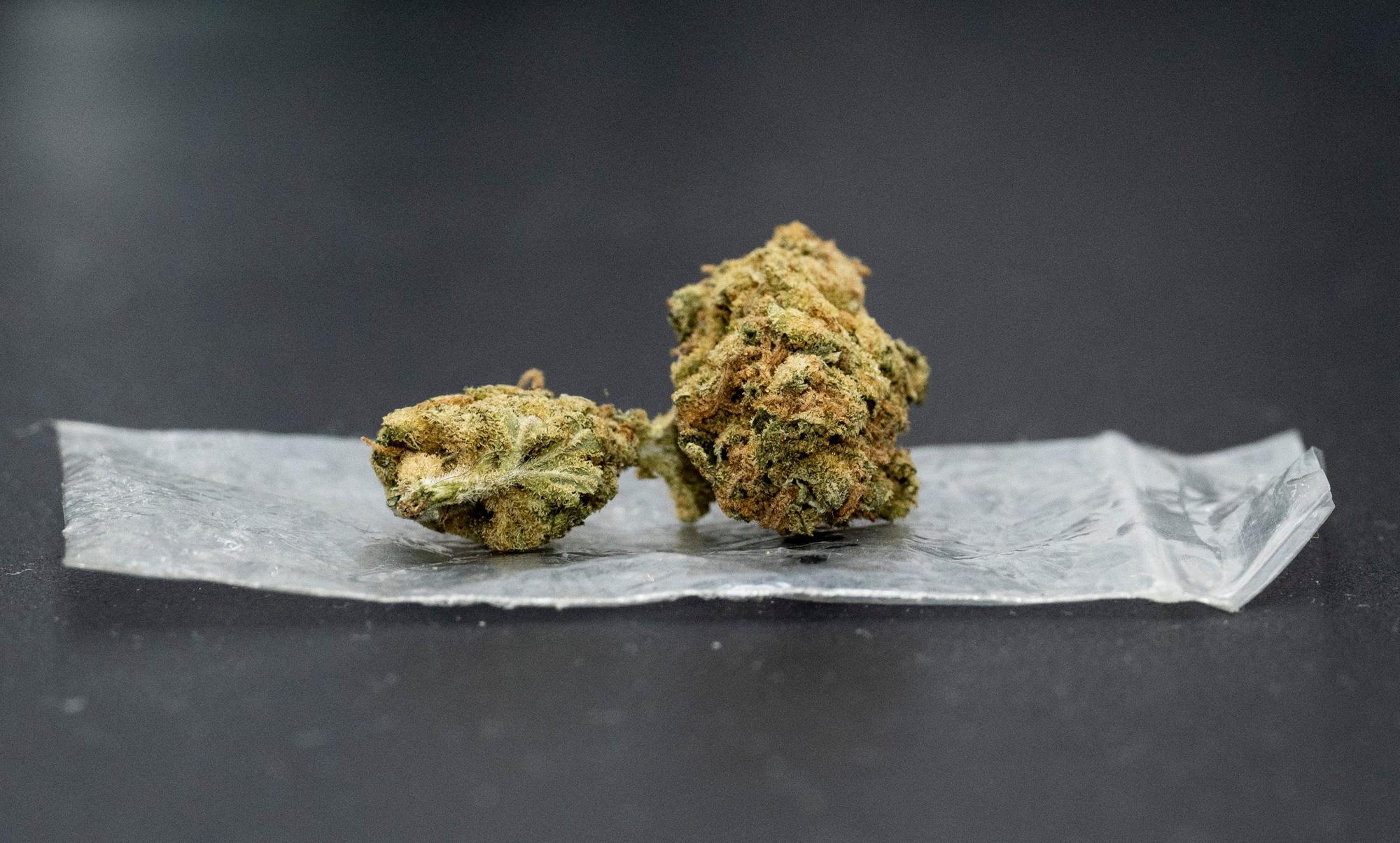 Eine Cannabisblüte liegt auf einem Plastikbeutel.