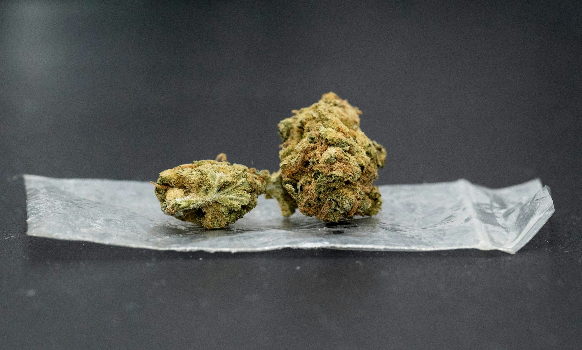 Eine Cannabisblüte liegt auf einem Plastikbeutel.