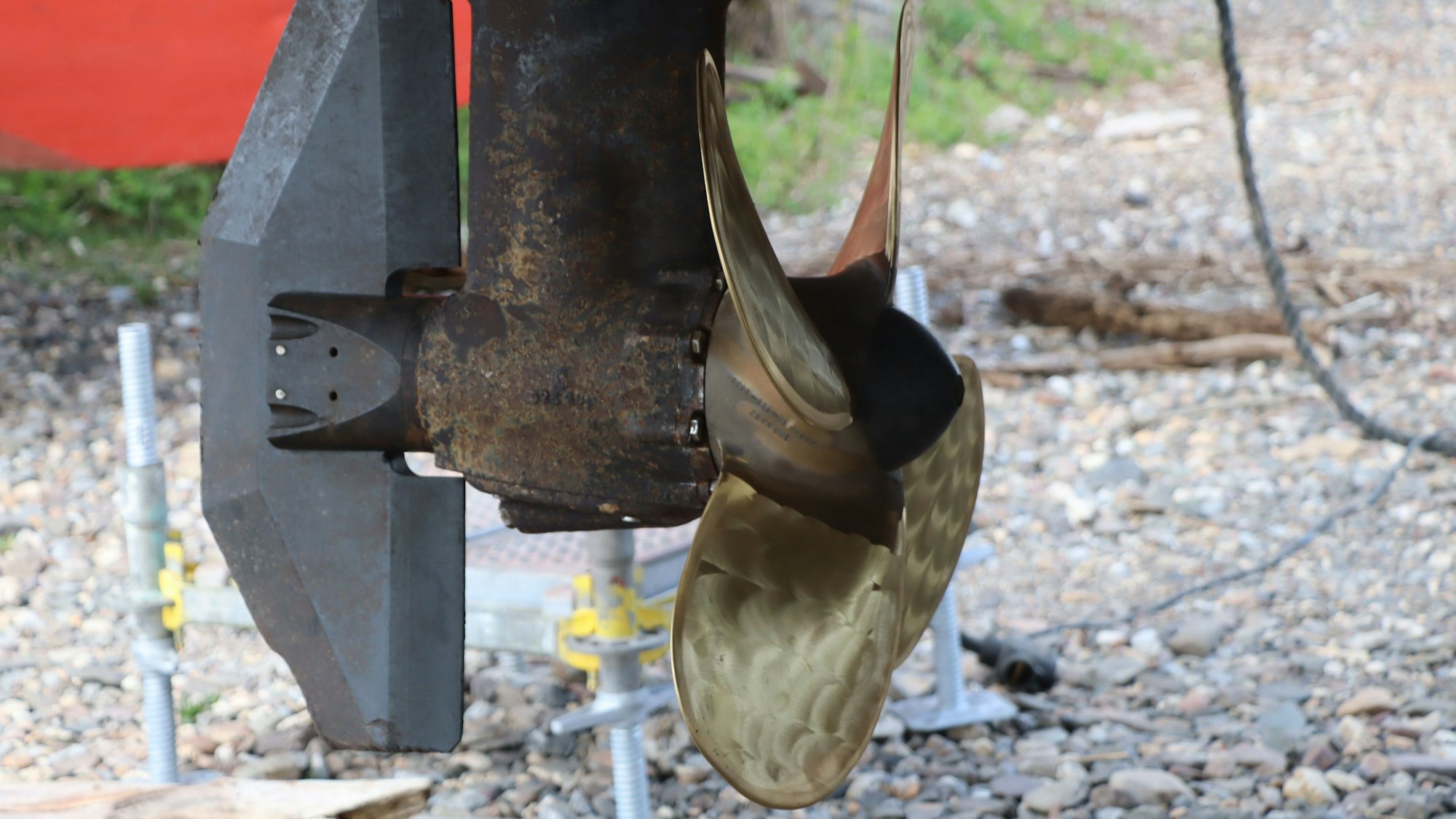 Die Motorschraube des Rheinschwans.