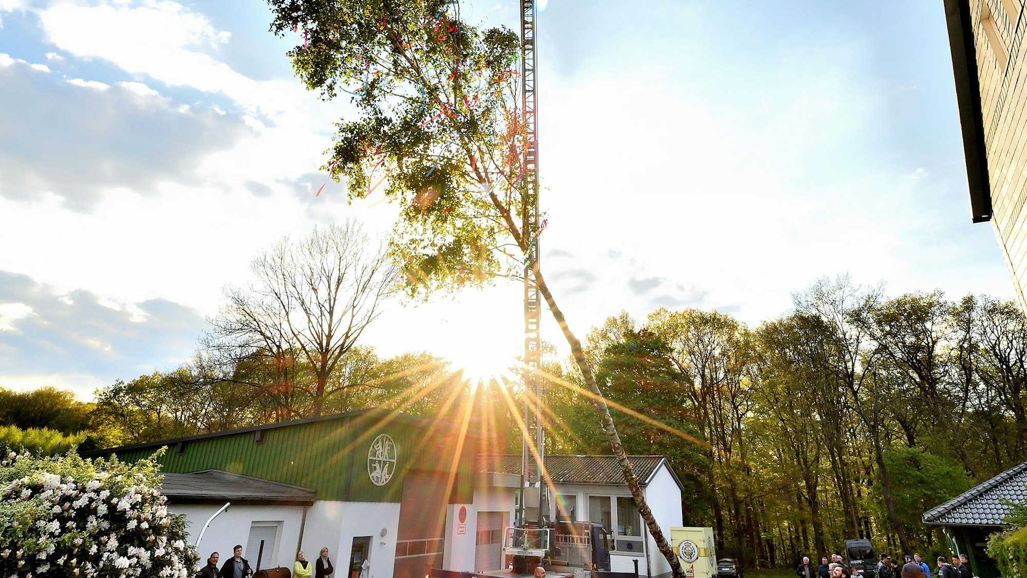 Der Maibum wird gerade am Kran hochgezogen. Die Sonne leuchtet hell.