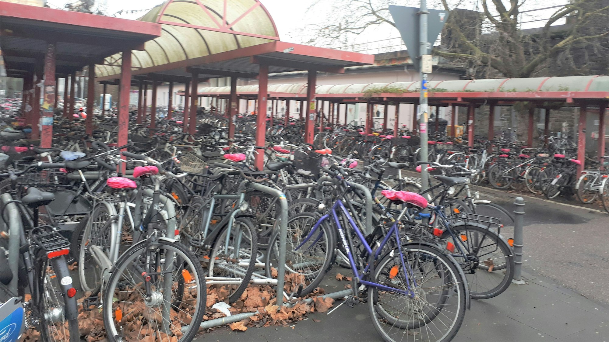 Fahrräder stehen am Südbahnhof unter einem Dach.