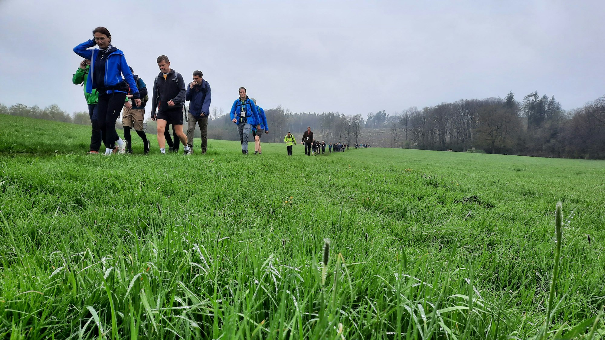 Man sieht eine Wandergruppe im Grünen. Der Himmel ist grau.