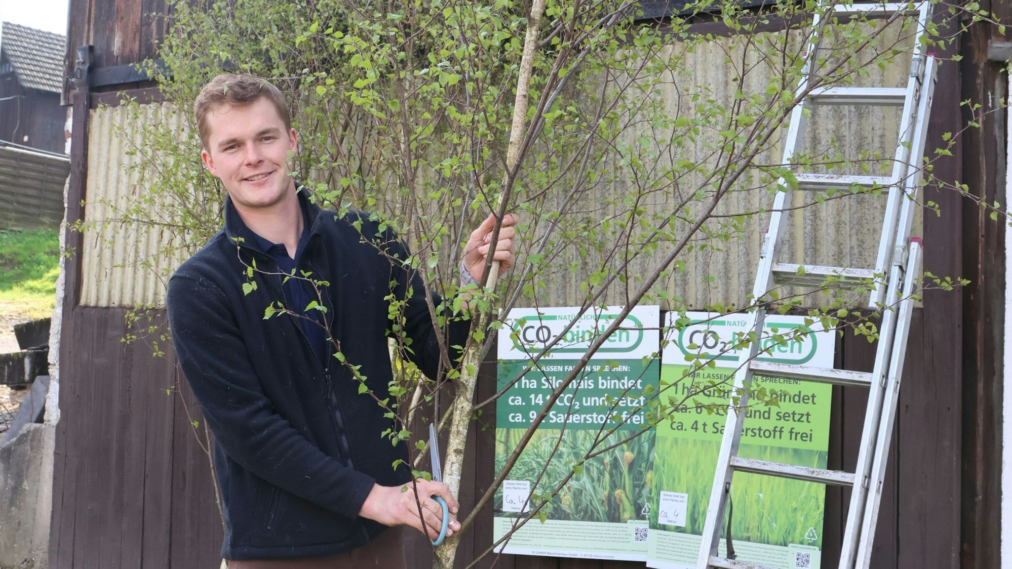 In Schnellenbach verkauft Händler Arne Wirths seine Mai-Birken.