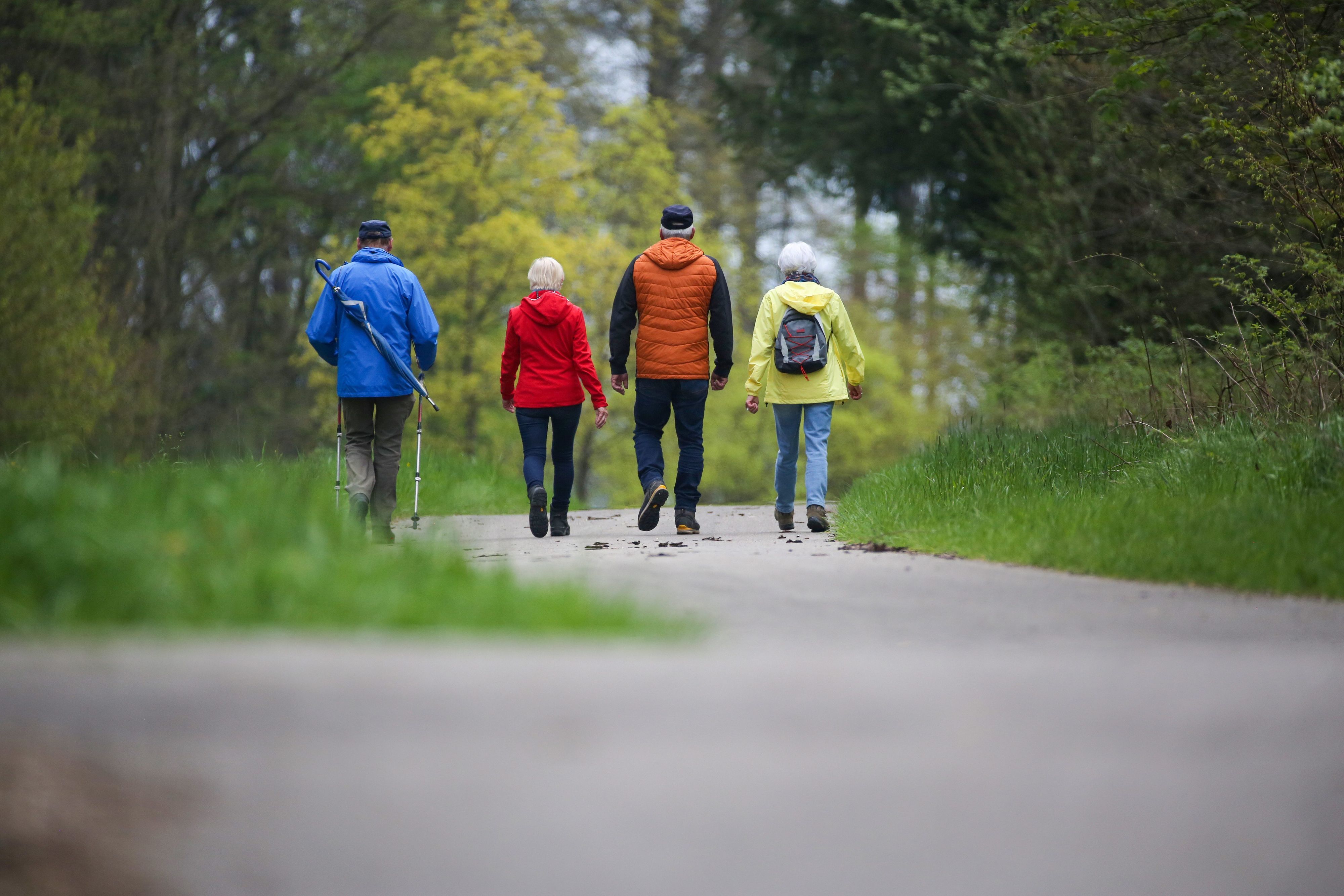 Wanderer sind am Maifeiertag auf einem Wanderweg unterwegs.