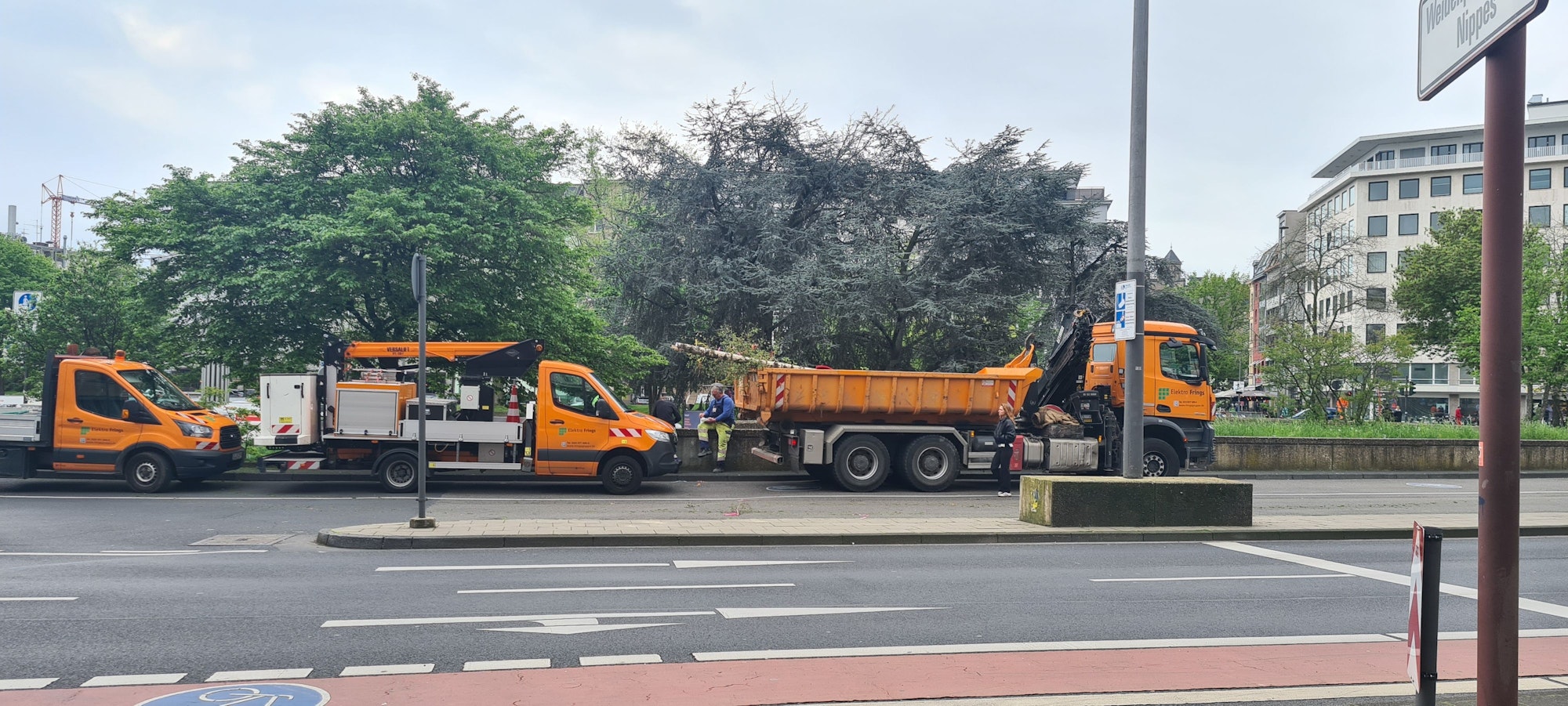 Der Riesen-Maibaum vom Ebertplatz ist am Dienstagmittag entfernt worden.