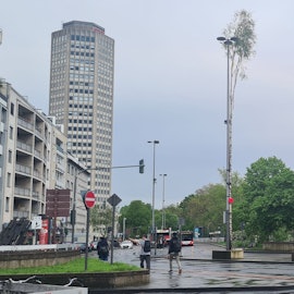 Maibaum ab Ebertplatz in Köln