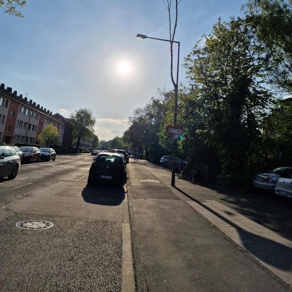 Maibaum in Köln-Bilderstöckchen