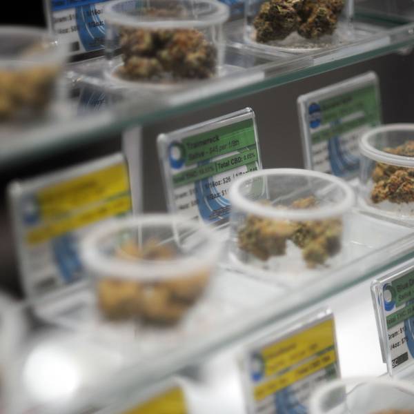 Auf Glasregalen stehen durchsichtige Plastikschalen, die mit Marihuana-Blüten gefüllt sind. Hinter den Schalen geben gelbe und grüne Schilder Auskunft über Eigenschaften und Preis der Waren.