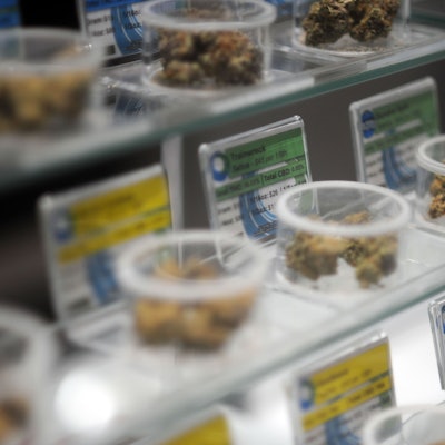 Auf Glasregalen stehen durchsichtige Plastikschalen, die mit Marihuana-Blüten gefüllt sind. Hinter den Schalen geben gelbe und grüne Schilder Auskunft über Eigenschaften und Preis der Waren.