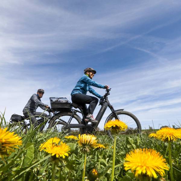 Radfahrer fahren durch Wiesen mit gelbem Löwenzahn