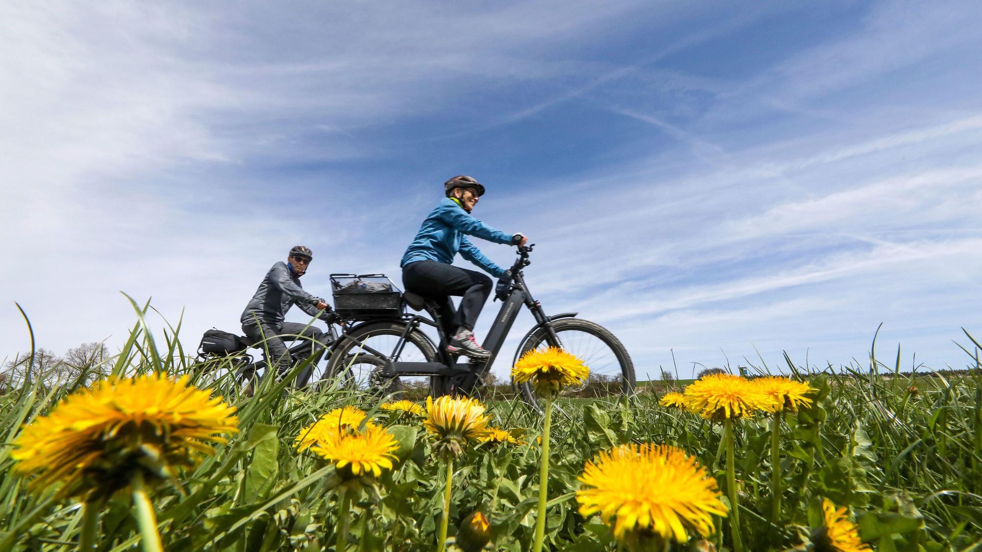 Radfahrer fahren durch Wiesen mit gelbem Löwenzahn