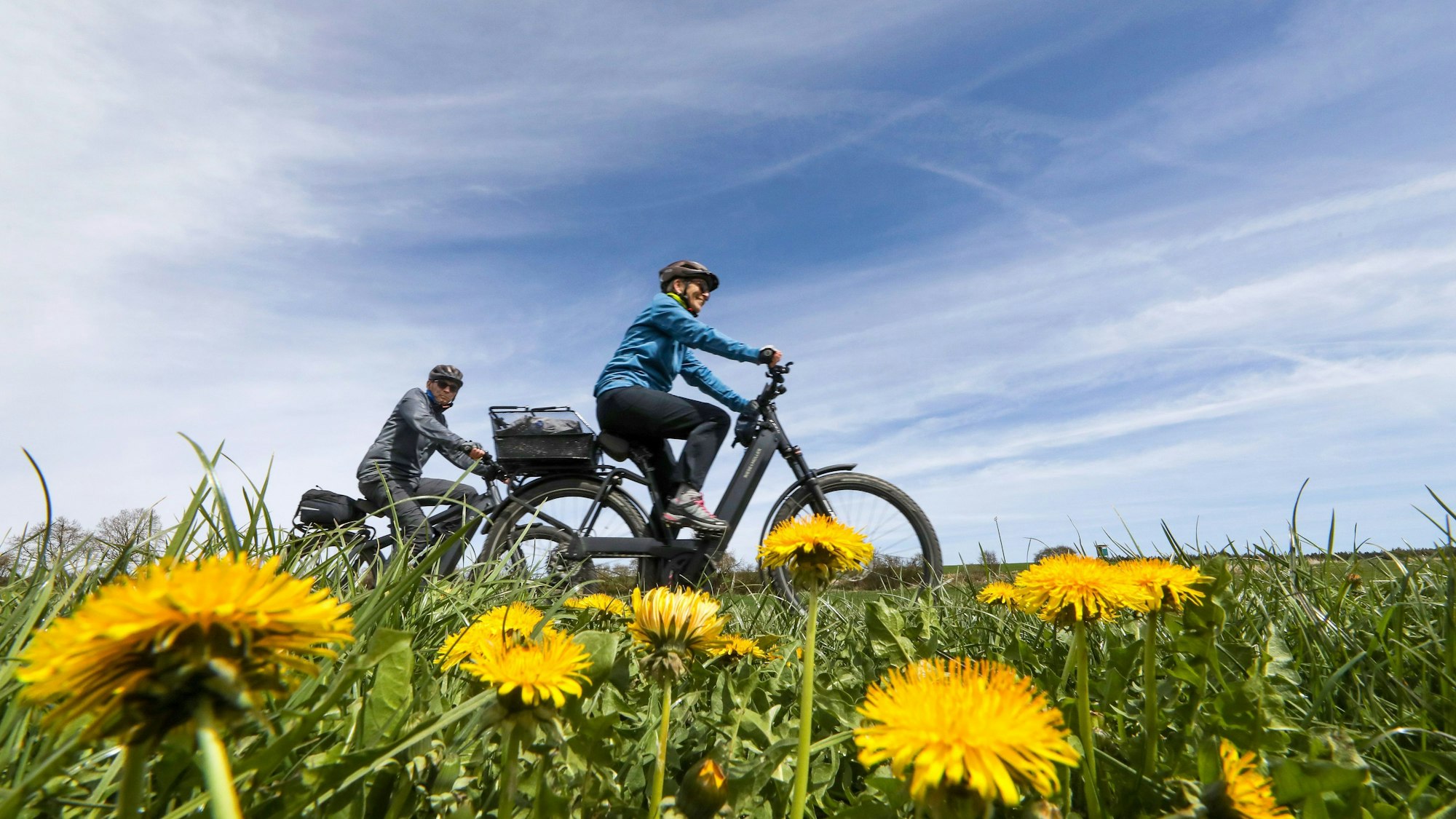 Radfahrer fahren durch Wiesen mit gelbem Löwenzahn