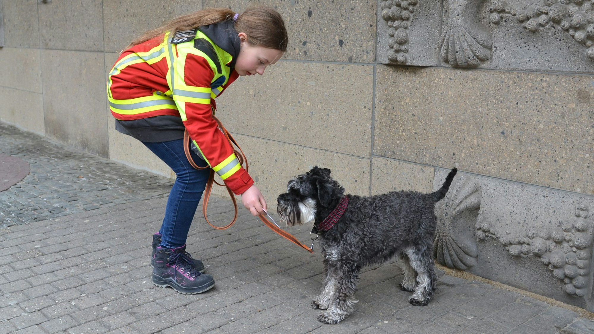 Ein Mädchen und ihr Hund trainieren bei den Rettungshunde-Teams mit.