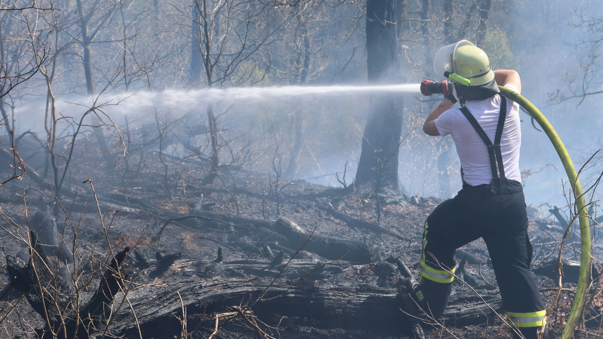 Ein Feuerwehrmann mit Löschschlauch im Waldgelände.