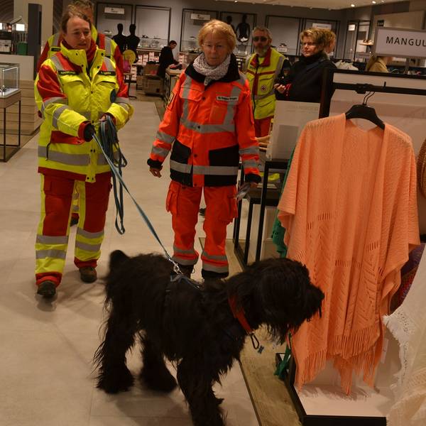 Zwei Frauen in Einsatzkleidung und ein Rettungshund trainieren in einem Kaufhaus die Suche nach Vermissten.