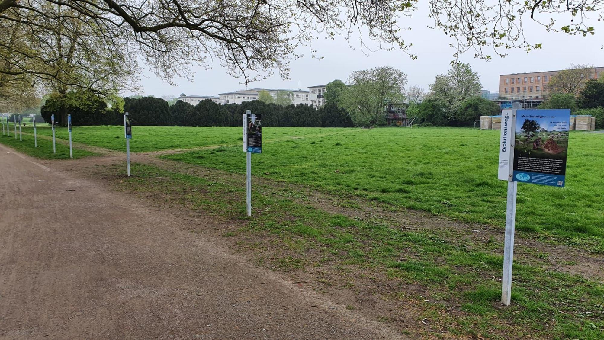 Blick auf die Uniwiese von der Allee aus
