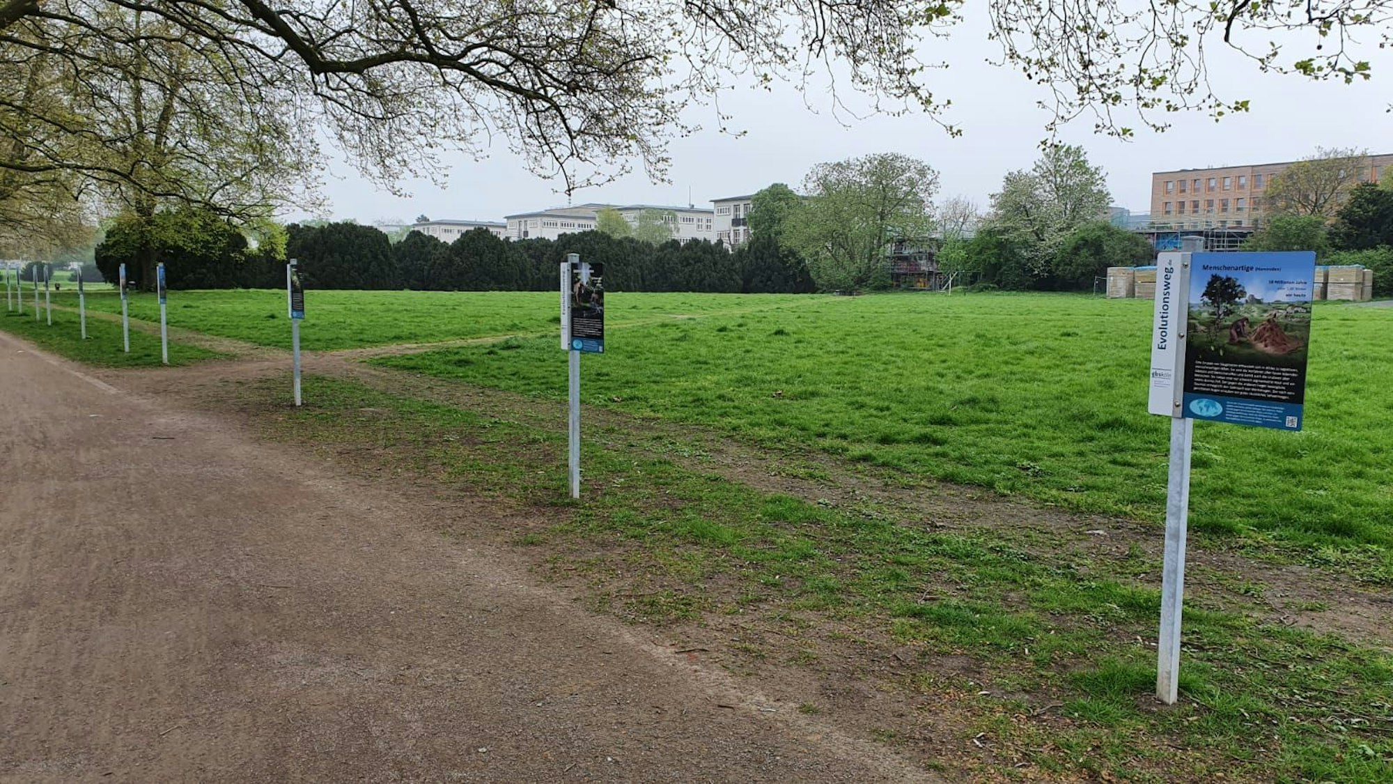 Blick auf die Uniwiese von der Allee aus