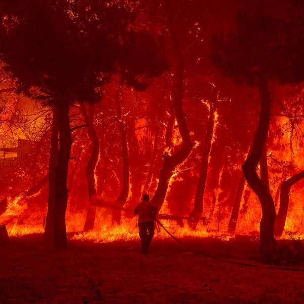 Ein Mann geht mit einem Löschschlauch auf die Flammen eines Waldbrandes zu. (Symbolbild)
