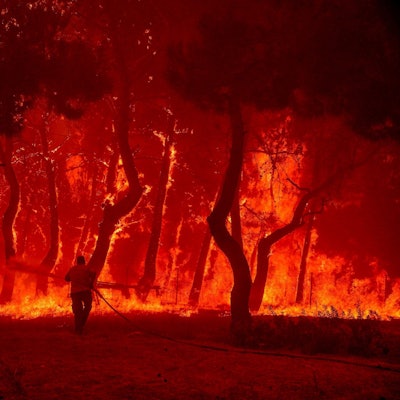 Ein Mann geht mit einem Löschschlauch auf die Flammen eines Waldbrandes zu. (Symbolbild)