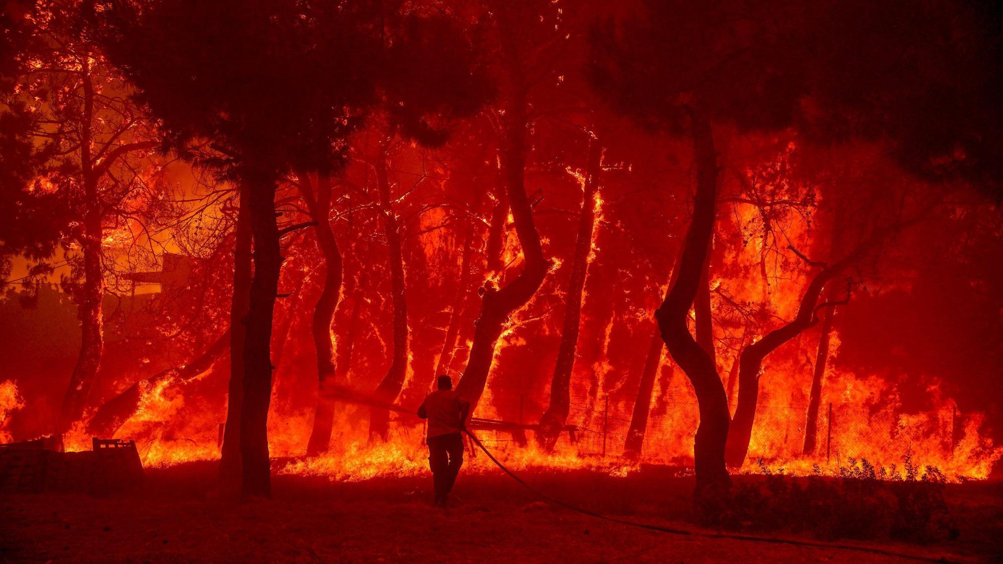 Ein Mann geht mit einem Löschschlauch auf die Flammen eines Waldbrandes zu. (Symbolbild)