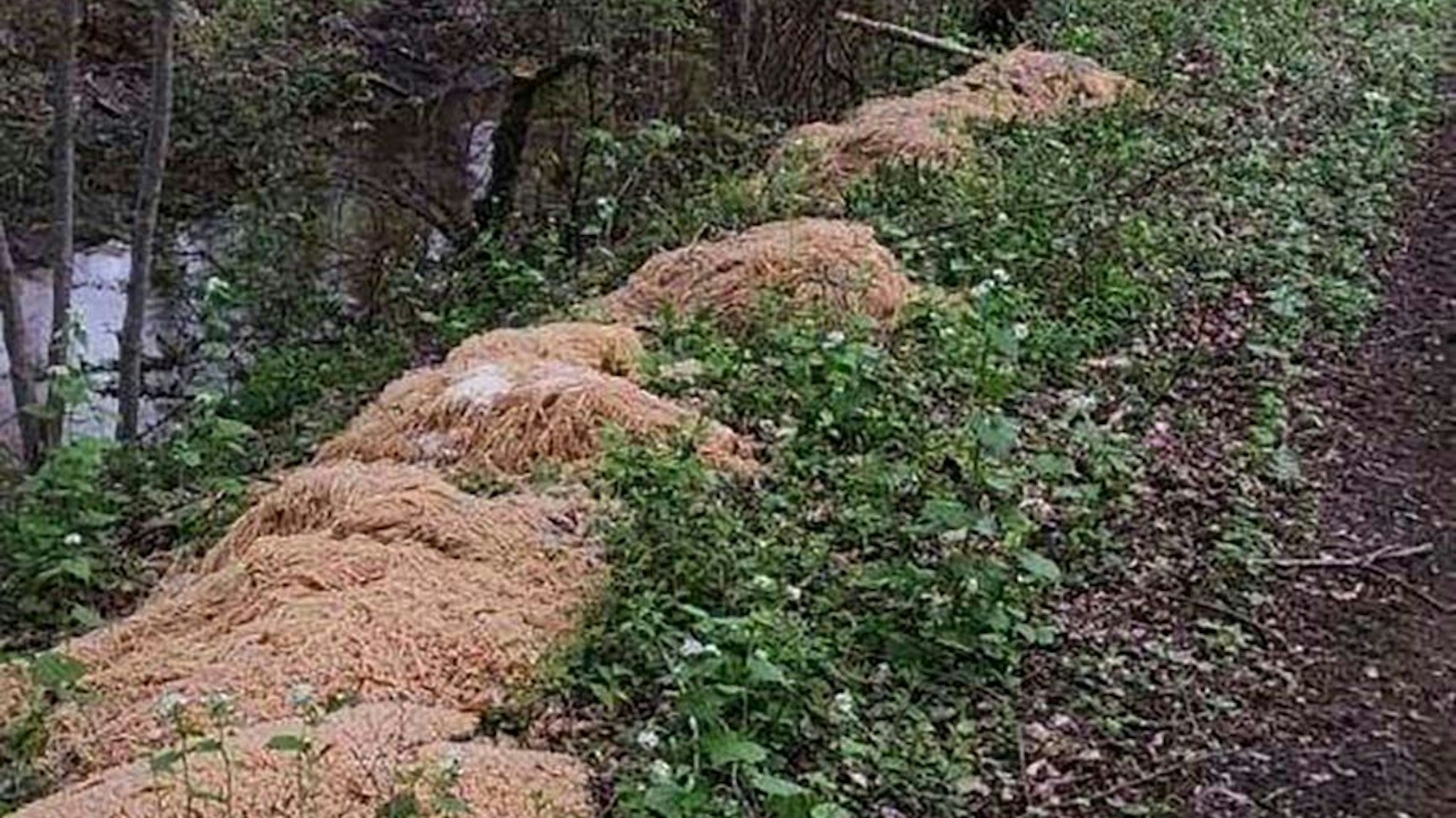 Dieses Bild zeigt den Abschnitt des Flusses in Old Bridge in New Jersey, an dem hunderte Kilo Pasta abgeladen wurden.