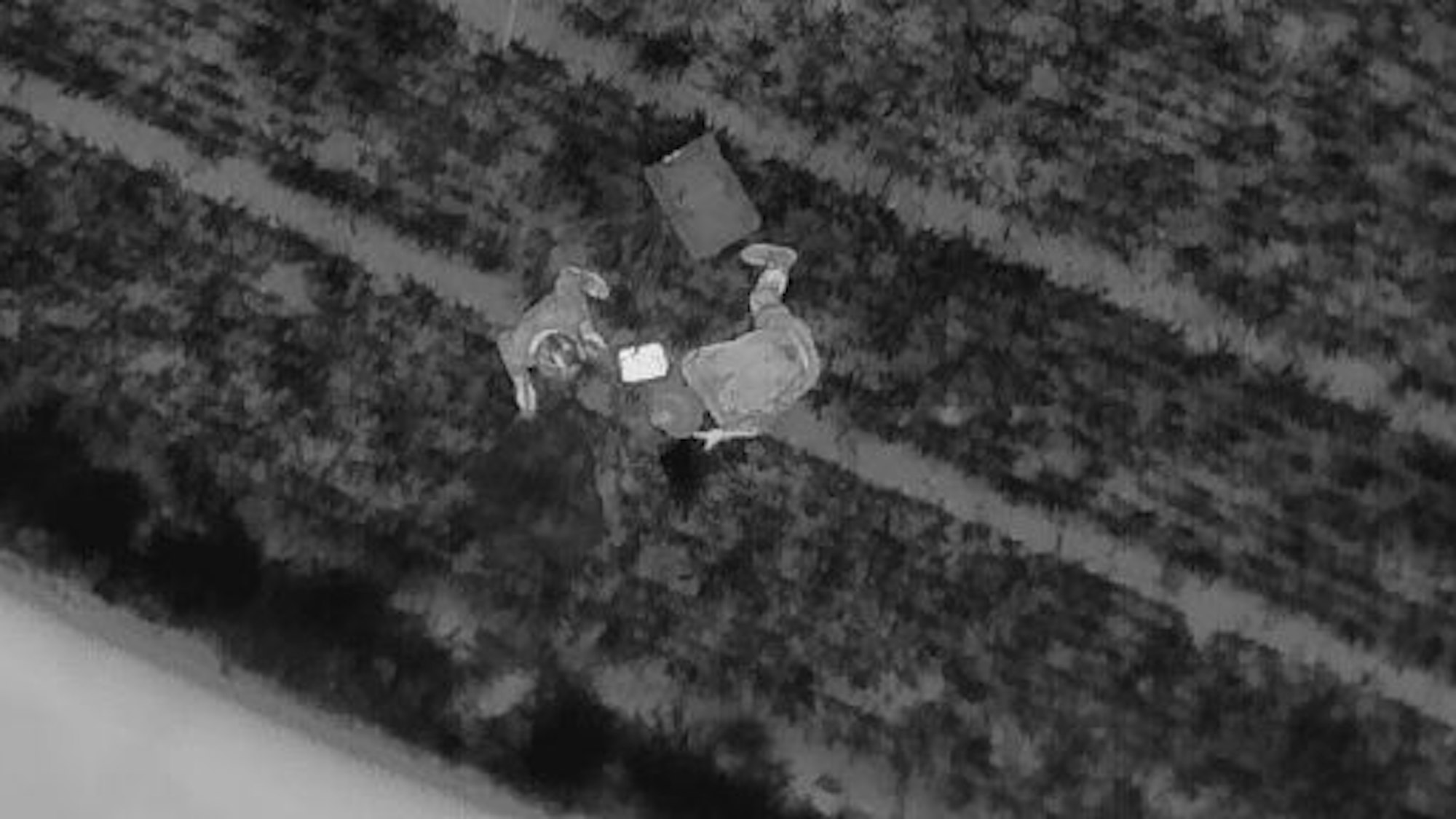 Ein Drohnenfoto zeigt Jäger aus der Luft