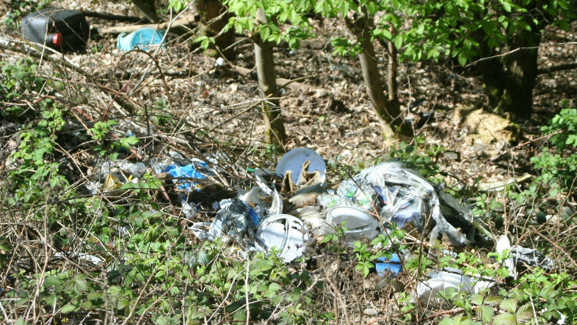 Wilde Müllkippe in Eitorf