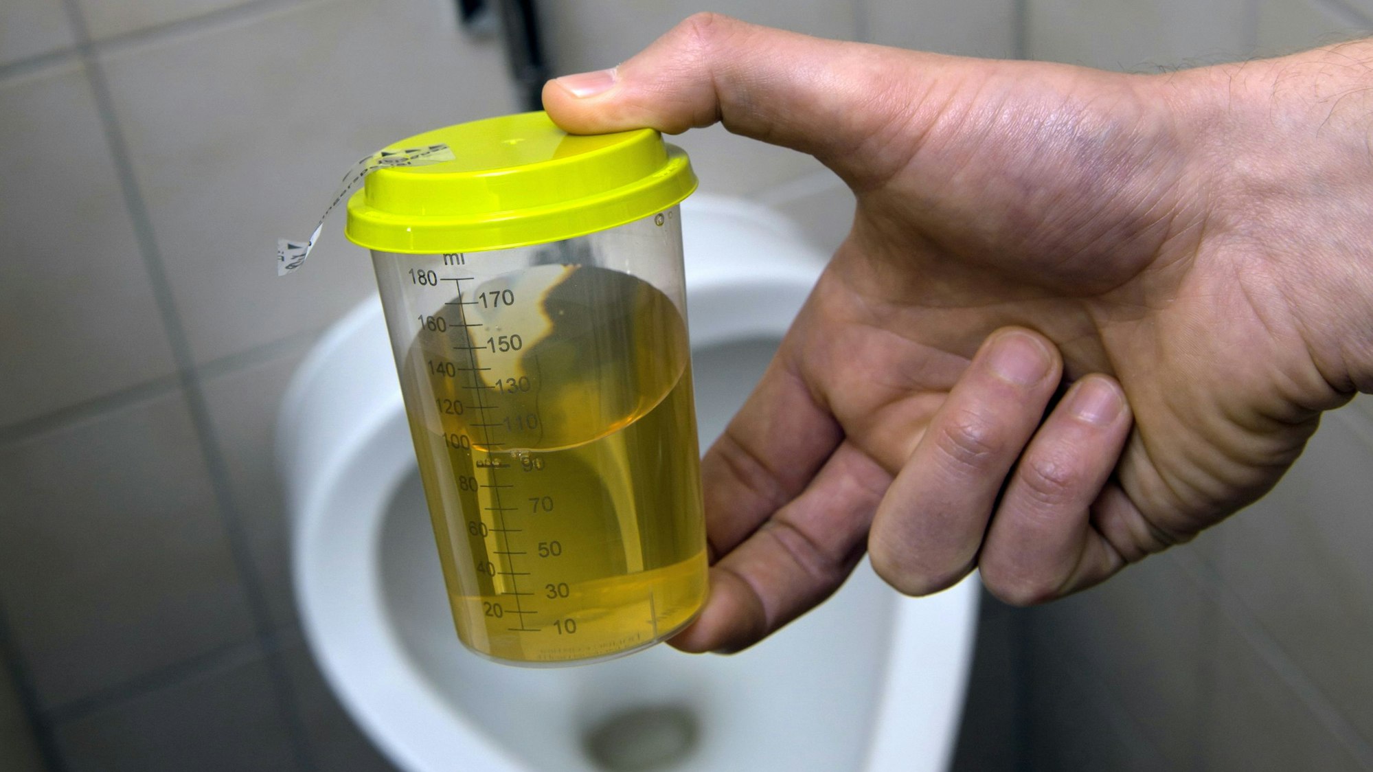 Ein Dopingkontrolleur hält eine Urinprobe in einem Auffangbehälter auf einer Herrentoilette in den Händen.