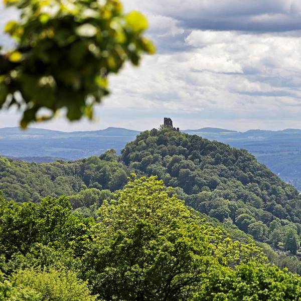 Schloss Drachenburg (r) und Burg Drachenfels sind oberhalb des Rheintals bei Königswinter vom Petersberg aus zu sehen.