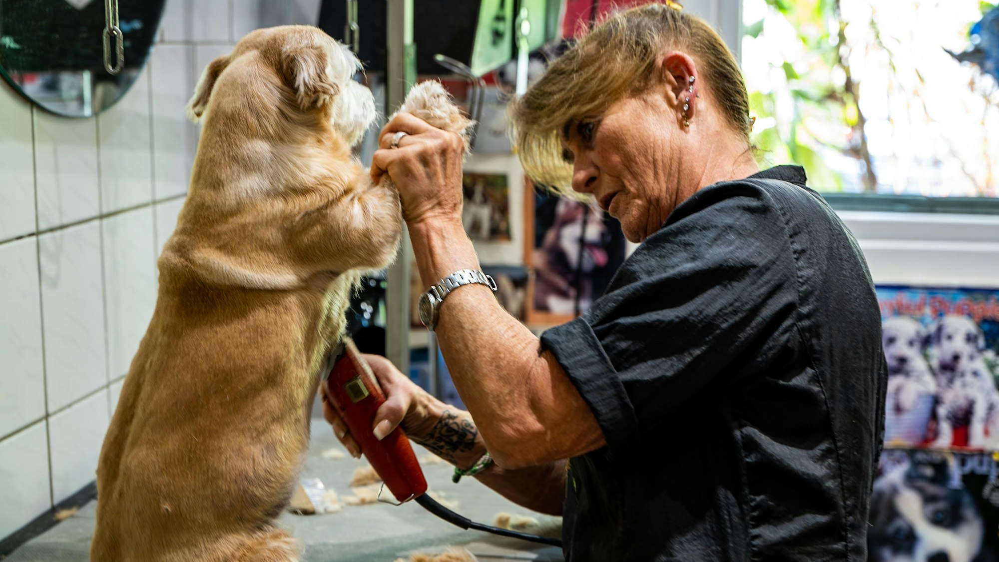 Angelika Steinbach schert Stellas Bauch.