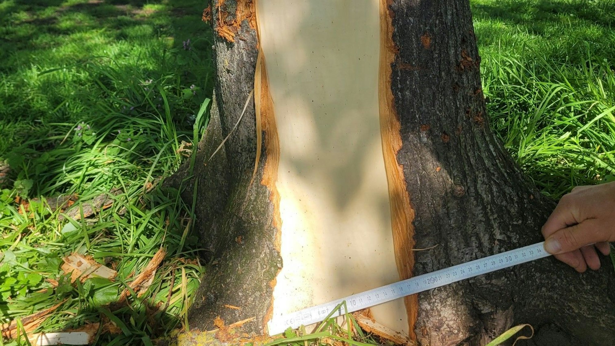 Rechts im Bild Hand mit Zollstock um die Rissbreite zu verdeutlichen