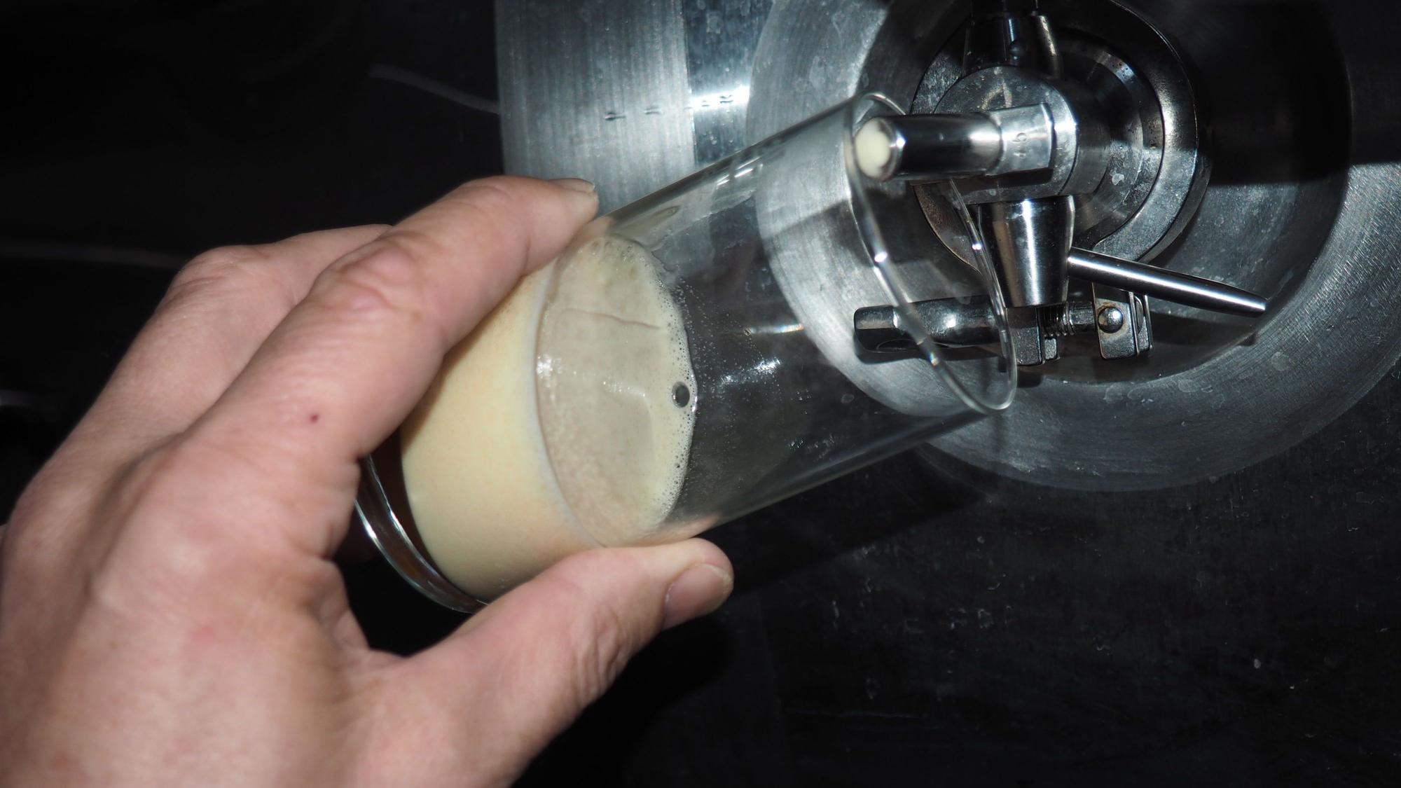 Eine Hand hält ein Glas unter ein Bierfass.