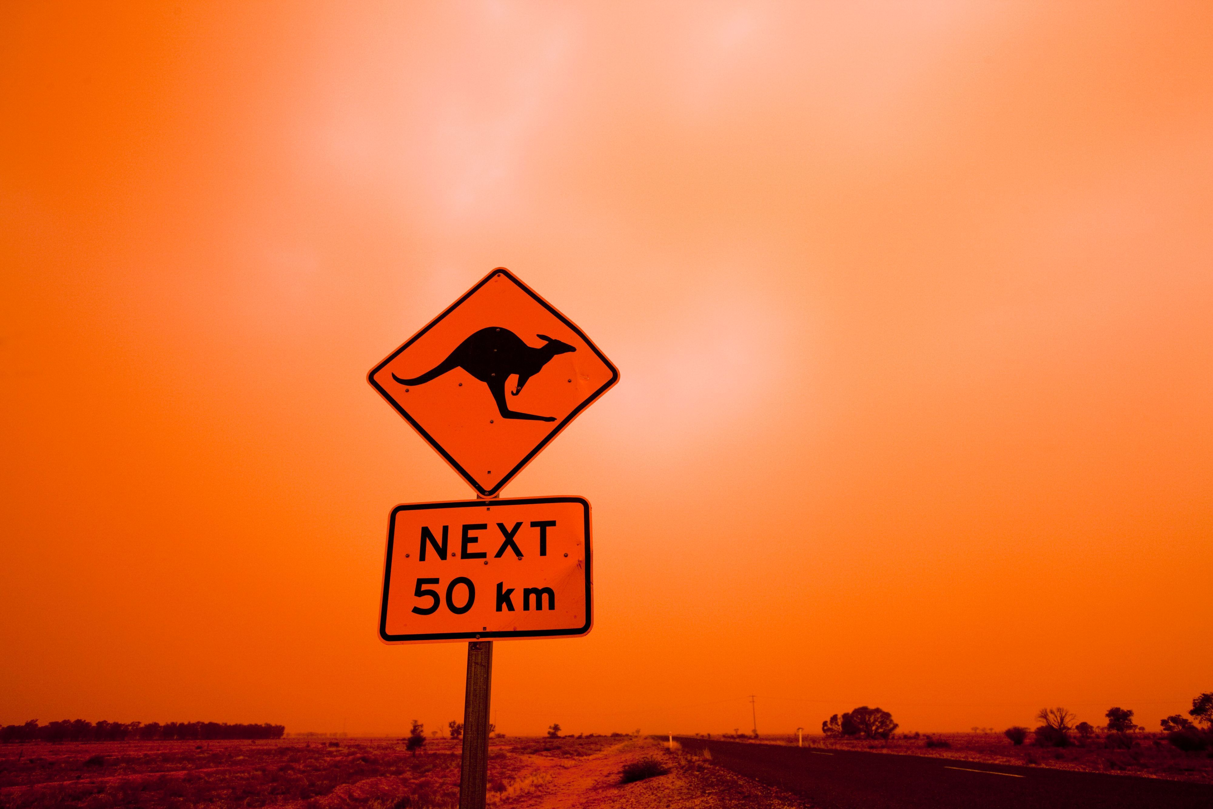 Ein Schild im australischen Outback warnt vor Kängurus, im Hintergrund tobt ein Sandsturm. Das Hinterland in Australien gehört zu den lebensfeindlichsten Umgebungen auf dem Planeten.