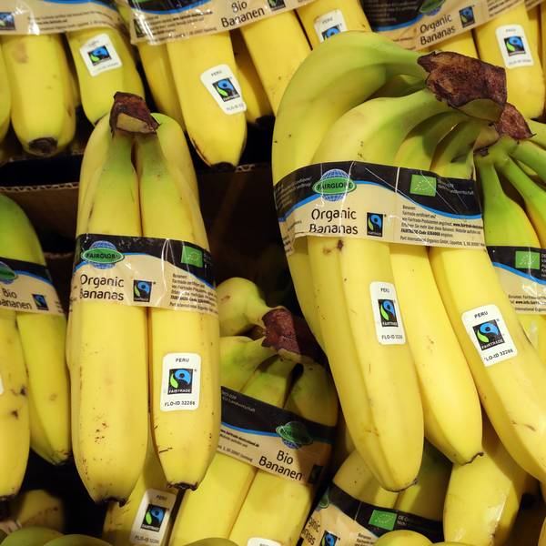 Bio-Bananen werden in einem Supermarkt angeboten.