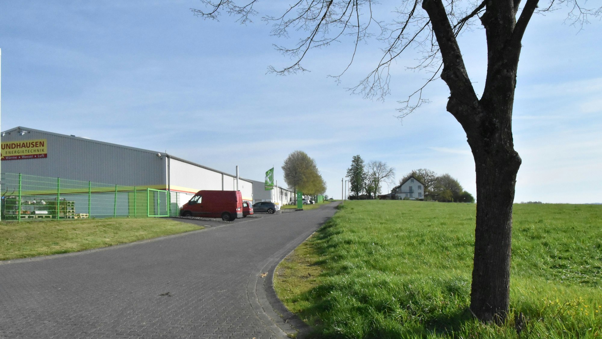 Autos parken im Hintergrund an einer Gewerbehalle, im Vordergrund steht ein Baum auf einer Wiese