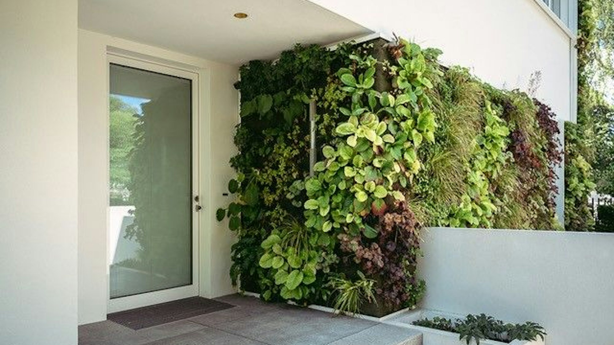 Eine begrünte Fassade soll die Temperatur regulieren.