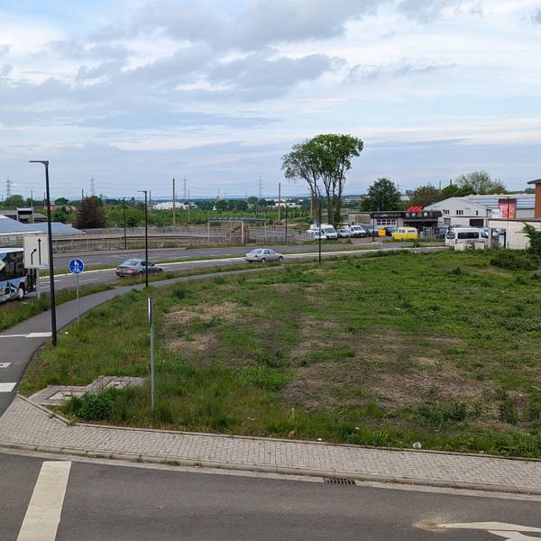 Ein Bus fährt über eine Straße an einer grünen Brachfläche vorbei.