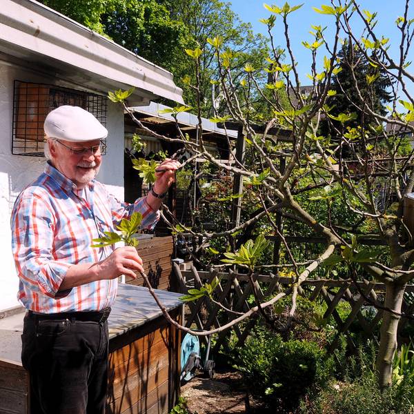 Ein älterer Mann mit Schirmmütze steht neben einem Baum in einem Garten.