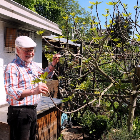 Ein älterer Mann mit Schirmmütze steht neben einem Baum in einem Garten.