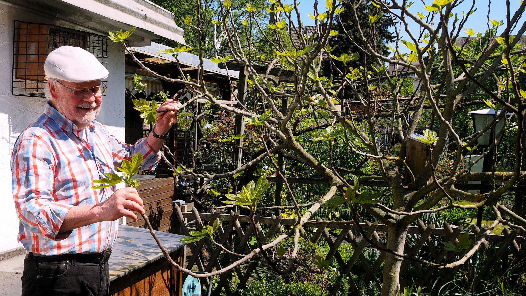 Ein älterer Mann mit Schirmmütze steht neben einem Baum in einem Garten.