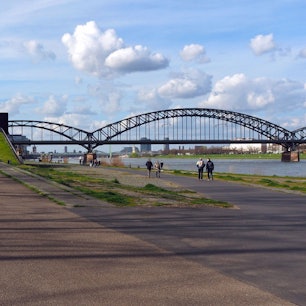 Das Rheinufer in Bayenthal.