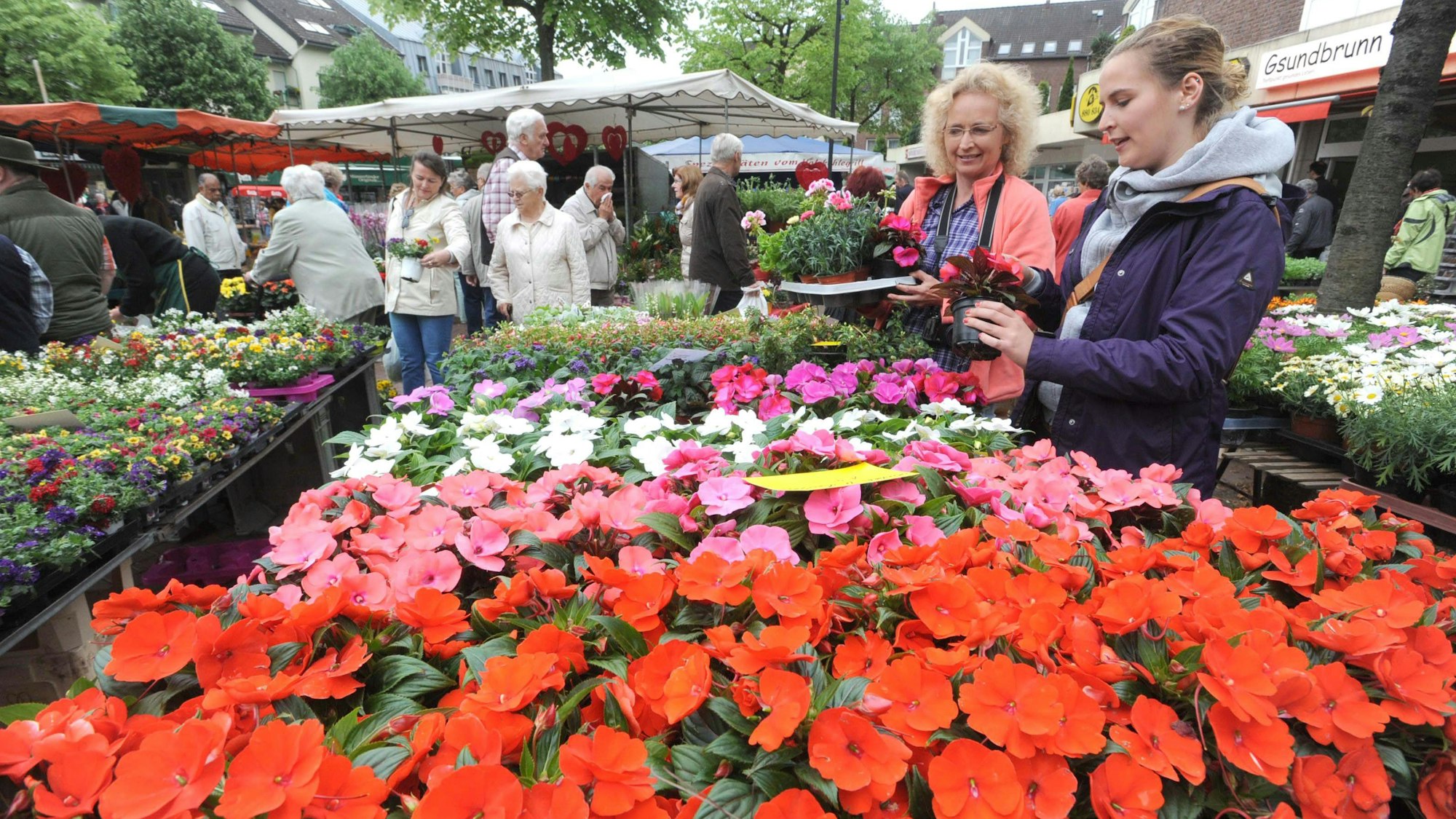 Blumenstand auf dem Frühlingsfest Leichlingen