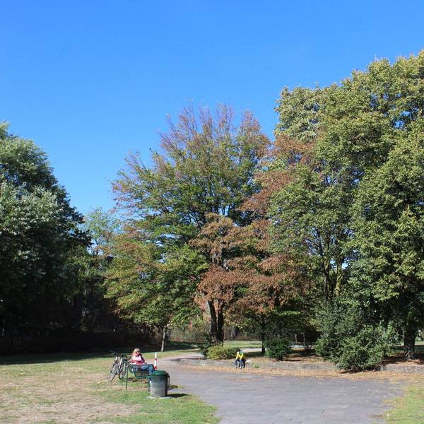 In dem Park stehen zwei Bäume und eine Tischtennisplatte.