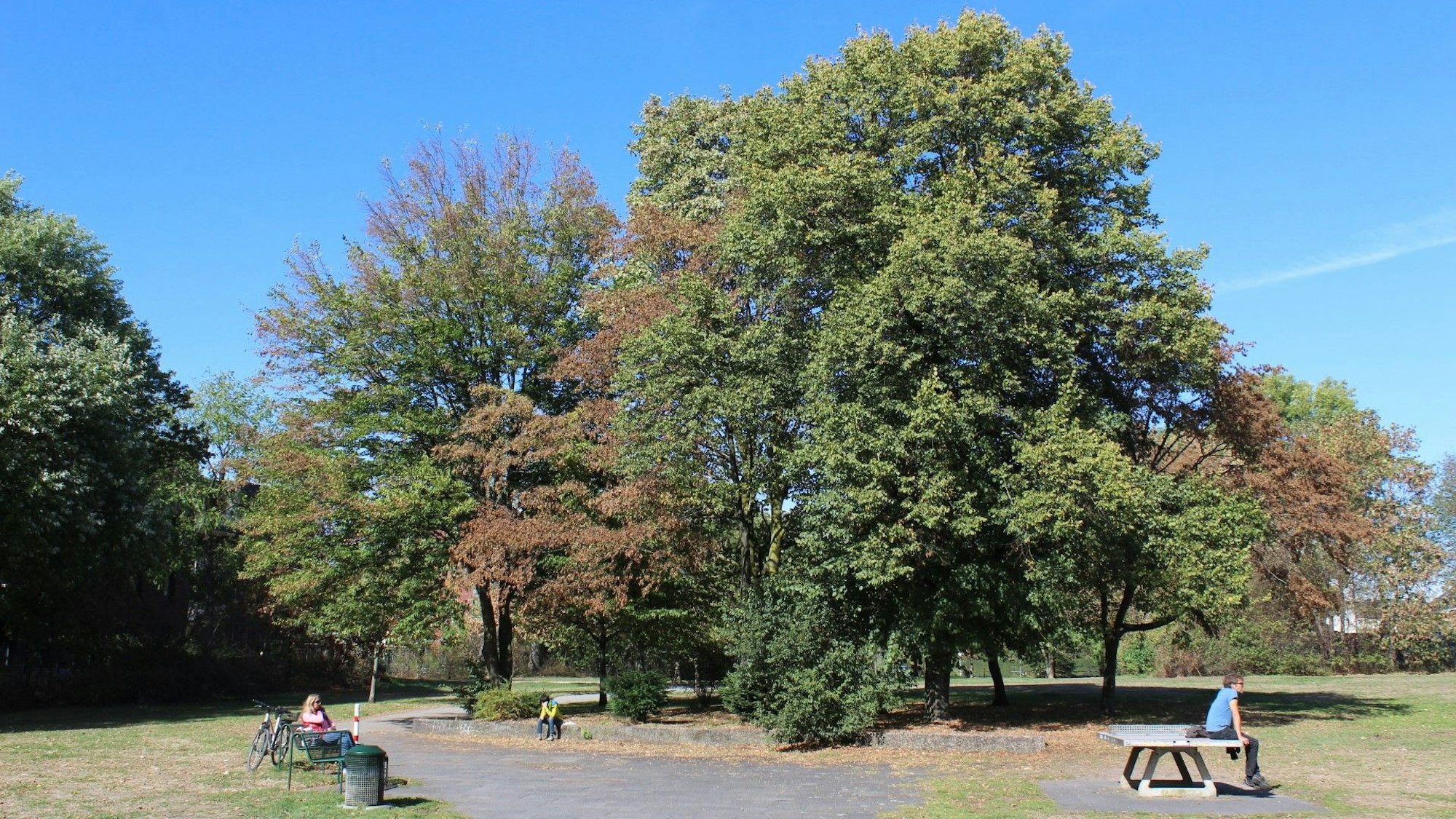 Der Johannes-Giesberts-Park bei Sonnenschein. Foto von Bernd Schöneck