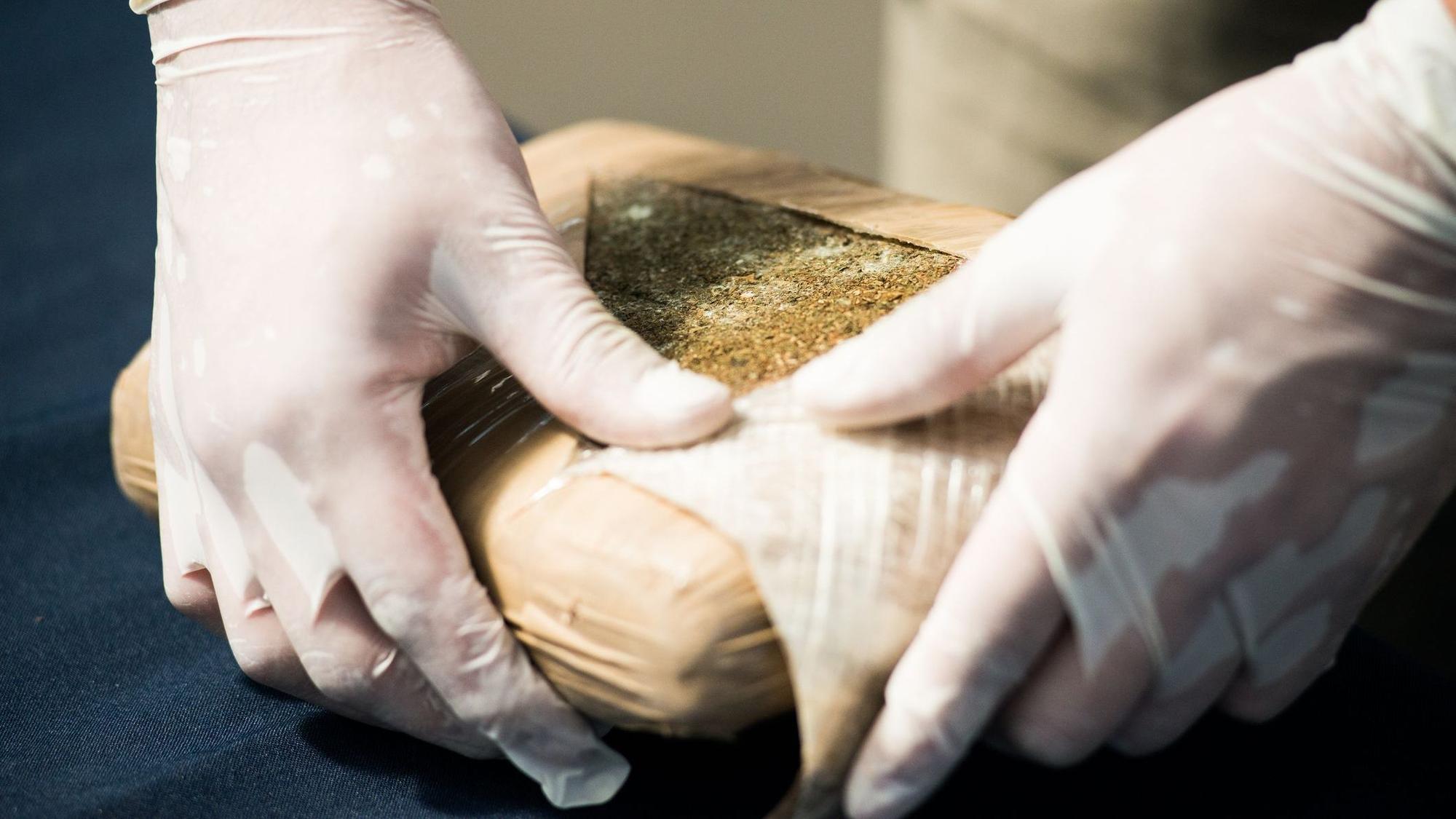 Ein Ermittler öffnet ein Paket mit illegalem Marihuana.