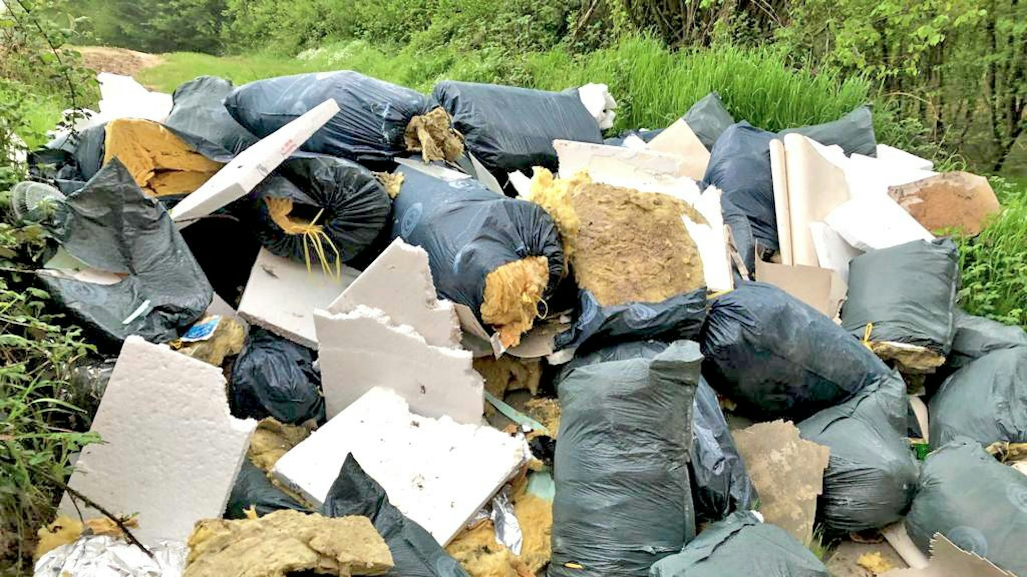 Müllsäcke und Bauschutt türmen sich zwischen Sträuchern auf einer Wiese.