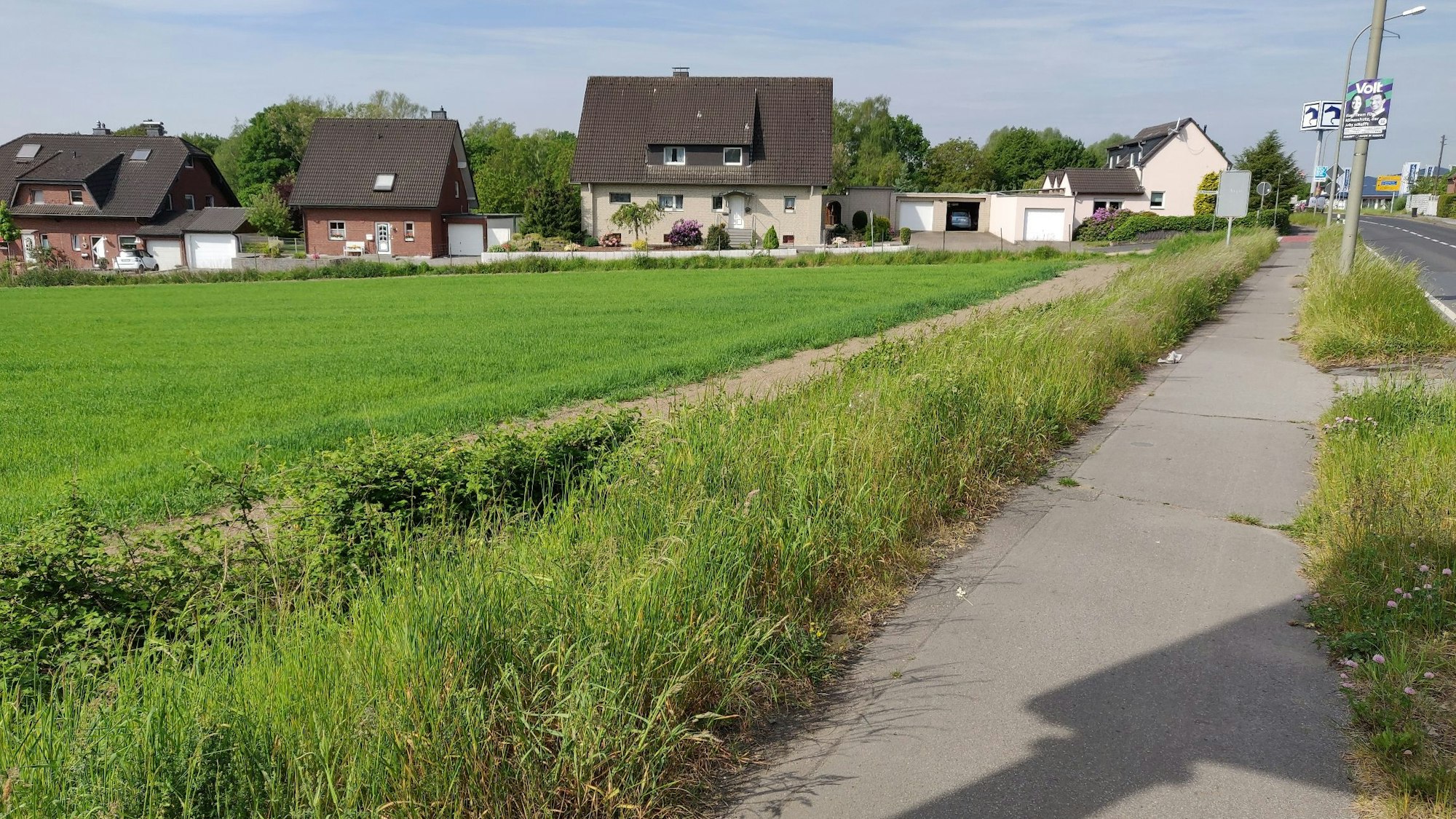 Das potenzielle Wohnbaugebiet zwischen der Reusrather Straße (rechts) und Am Rombergsweiher.