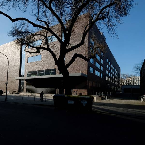 Das Rautenstrauch-Joest-Museum in Köln vor blauem Himmel und einem großen Baum vor der Klinker-Fassade.