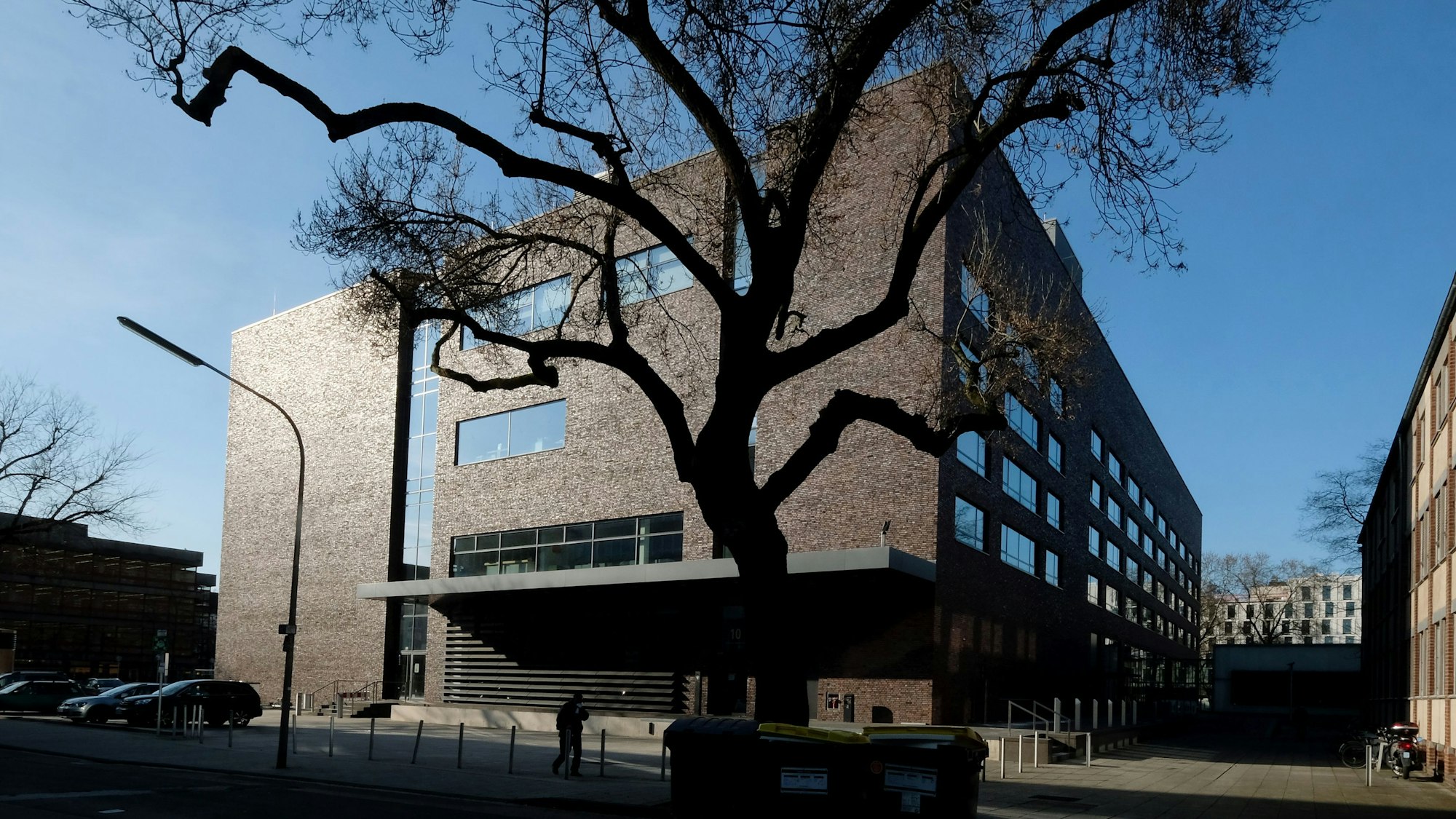 Das Rautenstrauch-Joest-Museum in Köln vor blauem Himmel und einem großen Baum vor der Klinker-Fassade.