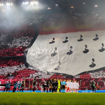 Kölner Fans machen vor dem Spiel gegen Belgrad 2022 eine Choreografie.